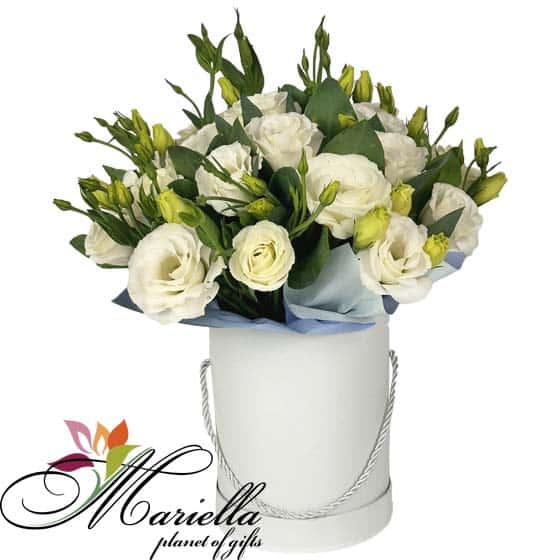 Կոմպոզիցիա 0498