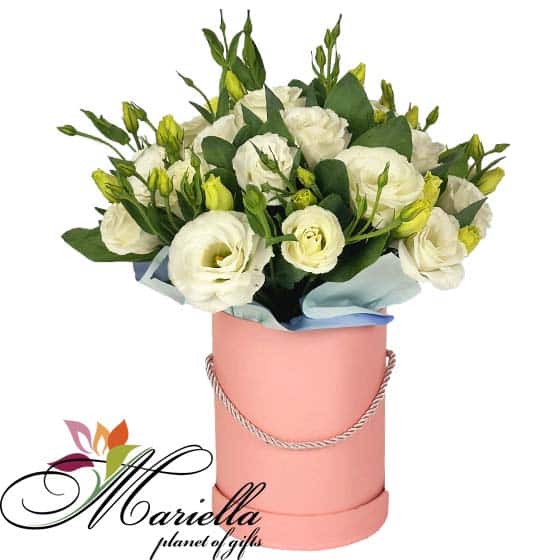 Կոմպոզիցիա 0499