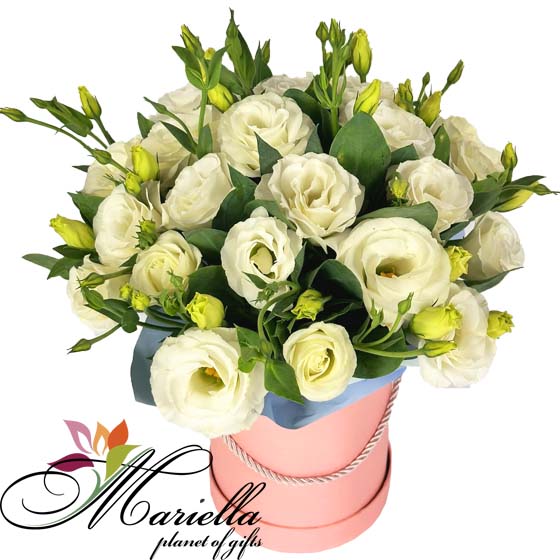 Arrangement 0499
