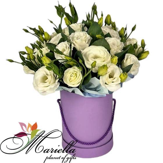 ԿՈՄՊՈԶԻՑԻԱ 0494