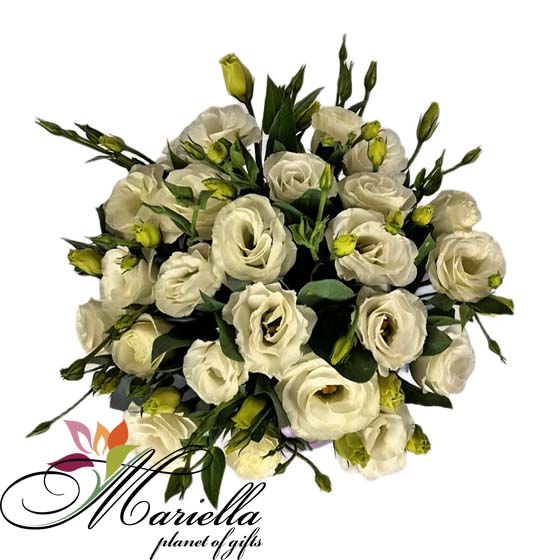 ԿՈՄՊՈԶԻՑԻԱ 0494