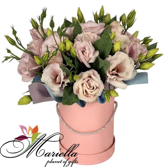 ARRANGEMENT 0497